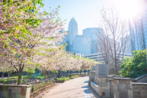 tour check-in Downtown Charlotte cùng hướng dẫn viên
