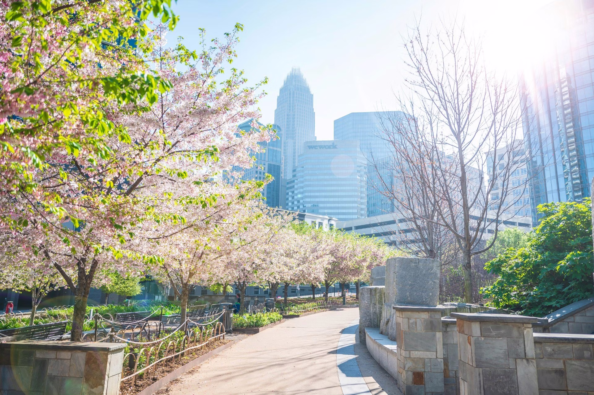 tour check-in Downtown Charlotte cùng hướng dẫn viên