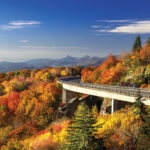 Blue Ridge Parkway mùa thu lá vàng Grandfather Mountain